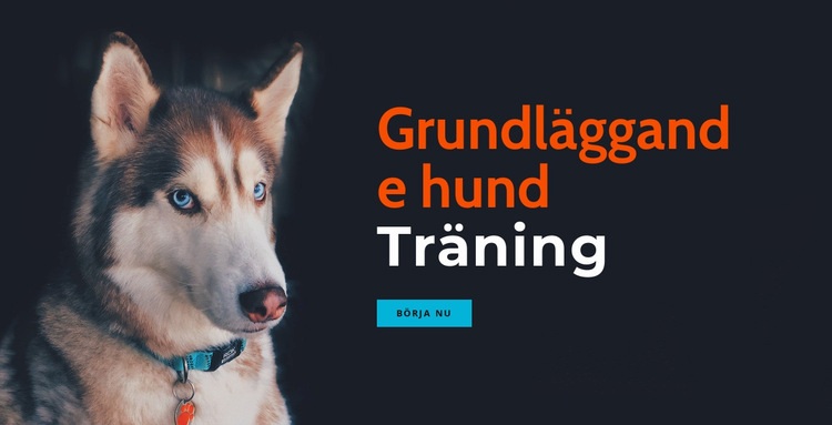 Online hundträningsakademi HTML-mall