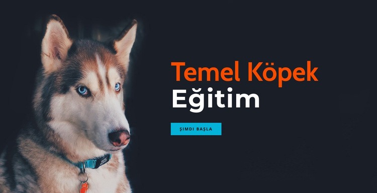 Çevrimiçi köpek eğitim akademisi Açılış sayfası