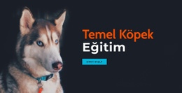 Çevrimiçi Köpek Eğitim Akademisi - Duyarlı Web Sitesi Modeli