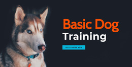 Ready To Use Web Page Design For Online Dog Training Academy