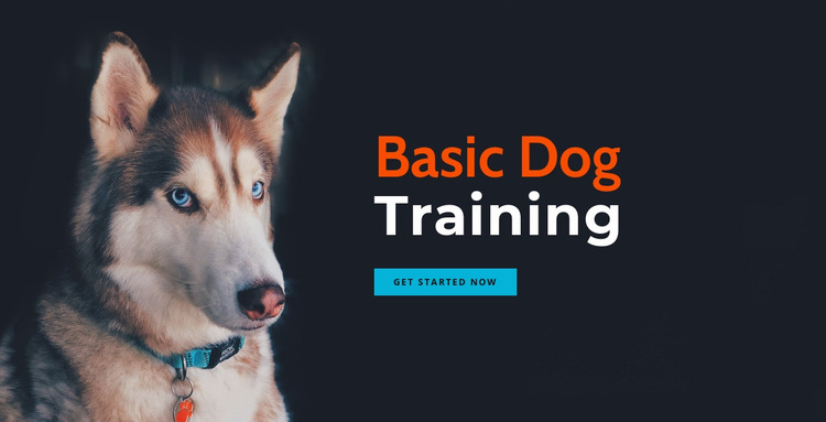 Online dog training academy Website Mockup