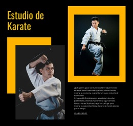 Estudio De Karate Deportivo Portafolio De Fotografías De Páginas