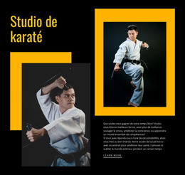 Studio De Karaté Sportif - Modèle De Site Web Joomla