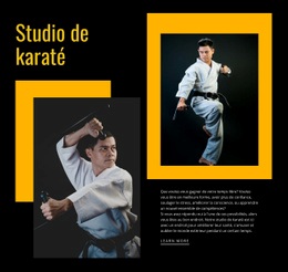 Studio De Karaté Sportif - Page De Destination Simple