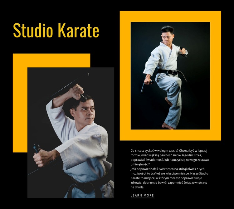 Studio sportowe karate Szablony do tworzenia witryn internetowych