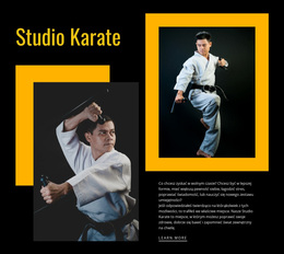 Studio Sportowe Karate - Najlepszy Motyw WordPress