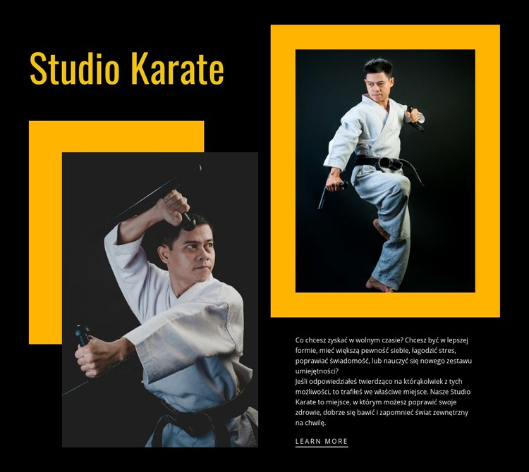 Studio sportowe karate Szablon CSS