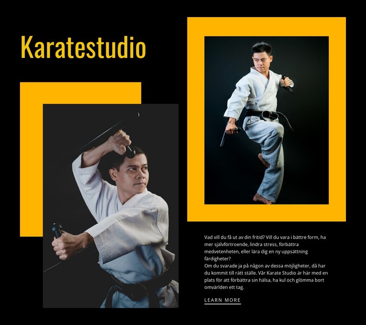 Sport karate studio CSS -mall