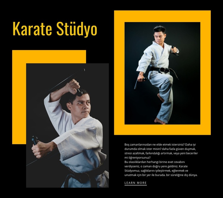 Spor karate stüdyosu Açılış sayfası