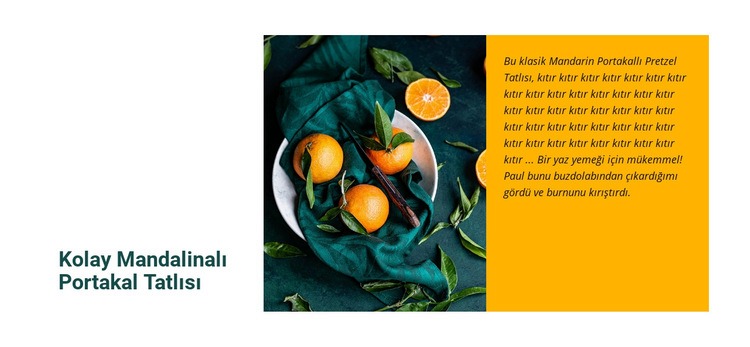 Mandalinalı portakal tatlısı Açılış sayfası