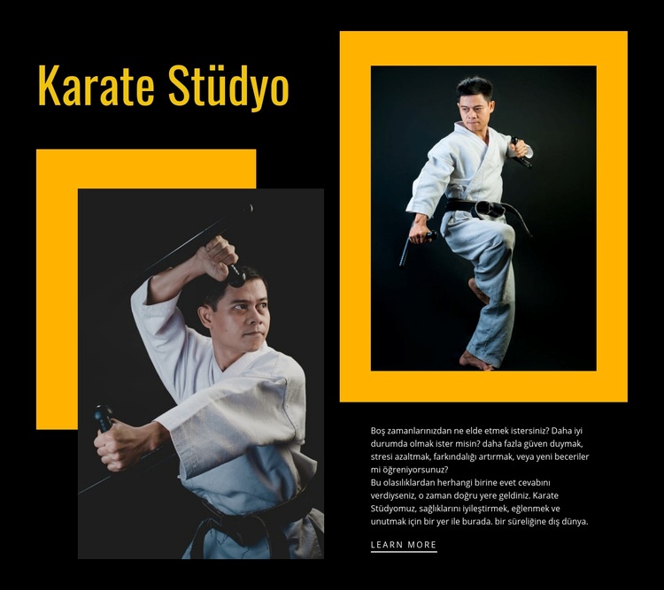Spor karate stüdyosu Web Sitesi Mockup'ı