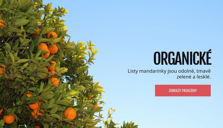 Bio přírodní ovoce Šablona webové stránky