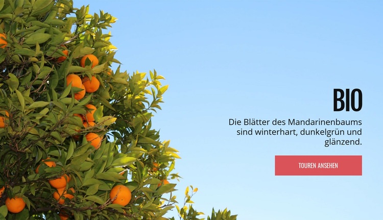 Bio natürliche Früchte Website-Modell