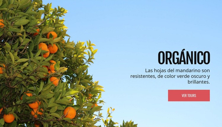Fruta natural ecológica Plantilla de sitio web