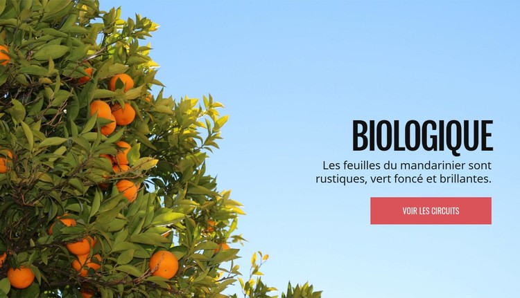 Fruits naturels biologiques Maquette de site Web