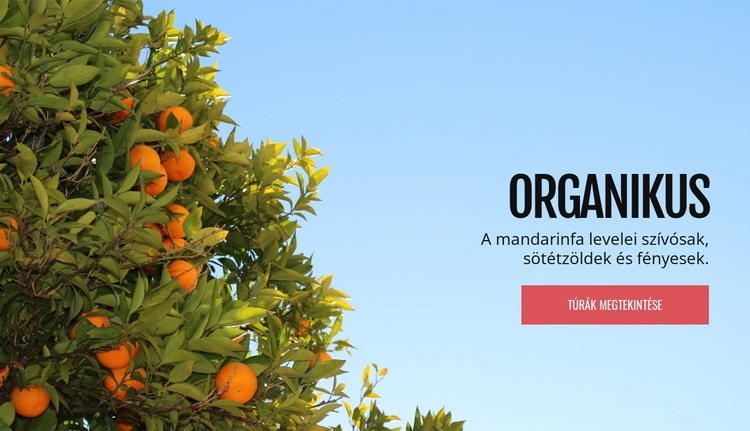 Bio természetes gyümölcs CSS sablon