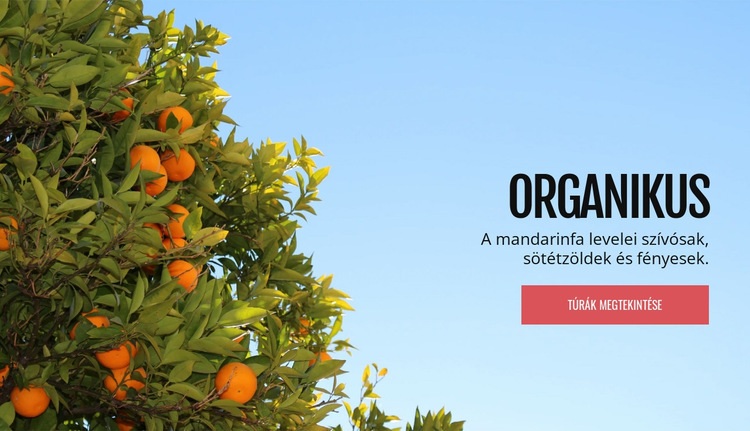 Bio természetes gyümölcs HTML Sablon