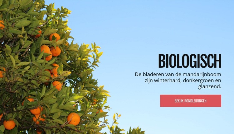 Biologisch natuurlijk fruit Bestemmingspagina