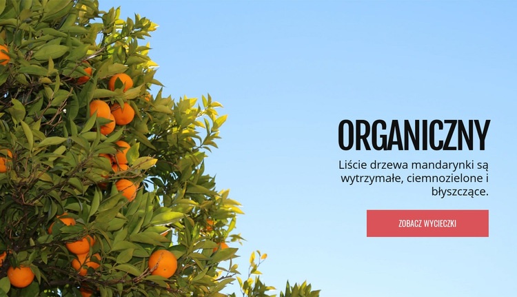 Organiczne owoce naturalne Makieta strony internetowej