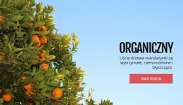 Organiczne Owoce Naturalne - Wielozadaniowy Szablon Jednostronicowy