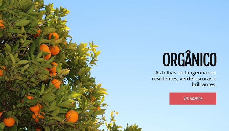 Fruta natural orgânica Template CSS