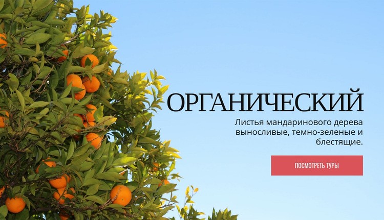 Органические натуральные фрукты Дизайн сайта