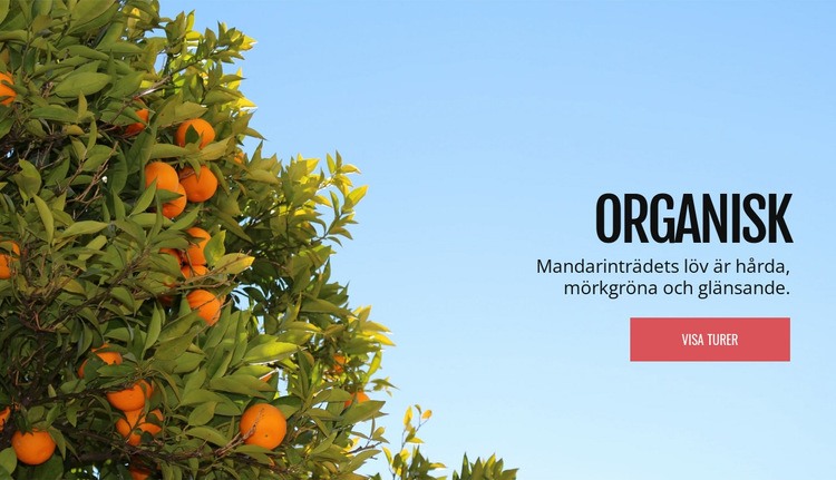 Ekologisk naturlig frukt HTML-mall