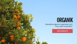 Organik Doğal Meyve Şablonlar Html5 Duyarlı Ücretsiz