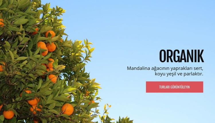 Organik doğal meyve Bir Sayfa Şablonu