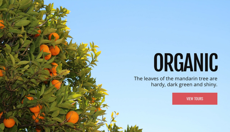 Organic natural fruit Web Page Design