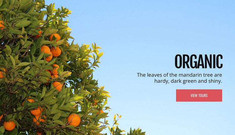 Organic natural fruit Website Builder Templates