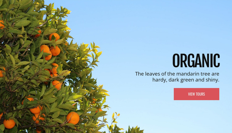 Organic natural fruit Website Mockup