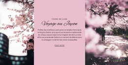 Modèle De Site Pour Visites De La Ville Au Japon