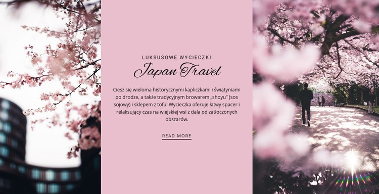 Wycieczki po Japonii Makieta strony internetowej