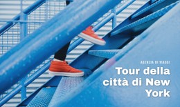 Tour Della Città Di New York Modello Premium