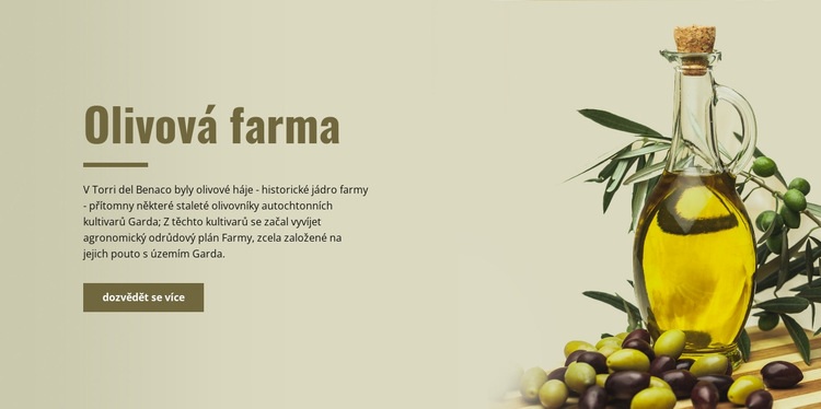 Olivová farma Šablona HTML