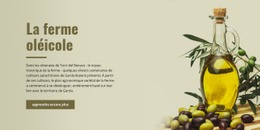 La Ferme Oléicole – Modèle De Site Web Gratuit