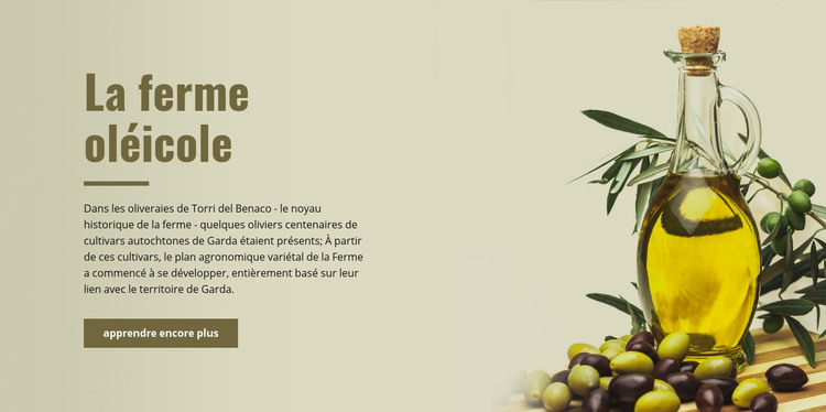 La ferme oléicole Modèle HTML