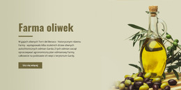 Gospodarstwo Oliwne - Kreatywny, Uniwersalny Szablon Joomla