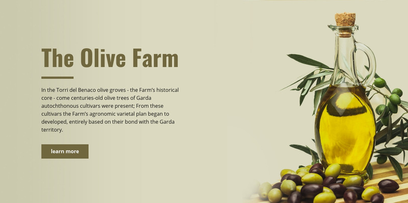 The olive farm Wix Template Alternative