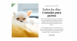 Consejos Todos Los Días: Página De Destino Creativa Multipropósito