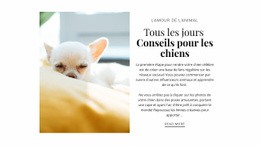 Conseils Tous Les Jours - Meilleure Maquette Gratuite