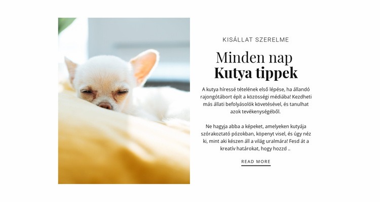 Tippek minden nap Sablon