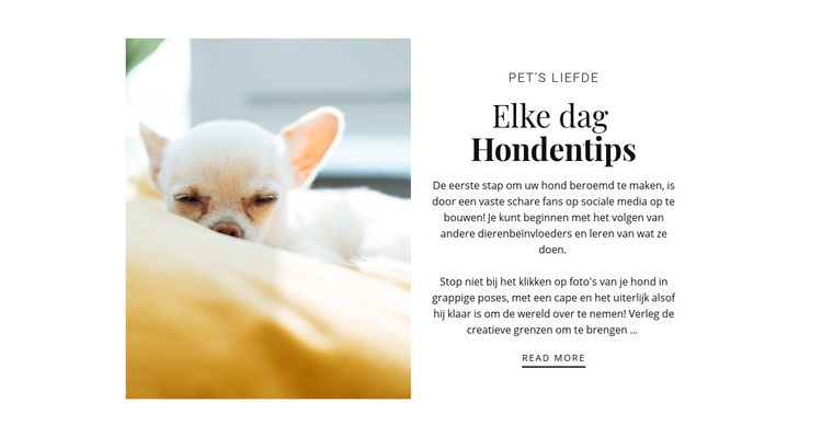 Elke dag tips Website mockup