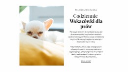 Porady Każdego Dnia #Templates-Pl-Seo-One-Item-Suffix