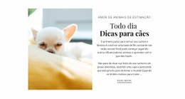 Construtor De Sites Incrível Para Dicas Todos Os Dias