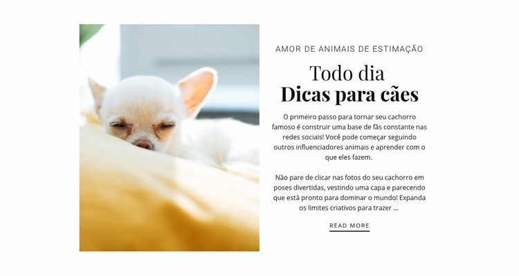 Dicas todos os dias Landing Page