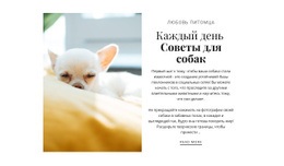 Советы Каждый День — Скачать Шаблон Joomla Бесплатно