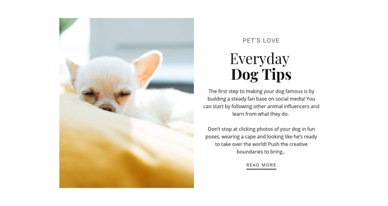 Tips every day Squarespace Template Alternative