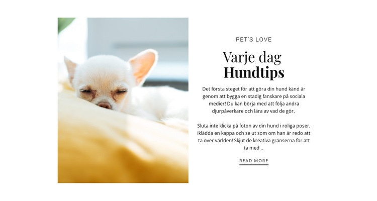 Tips varje dag Hemsidedesign